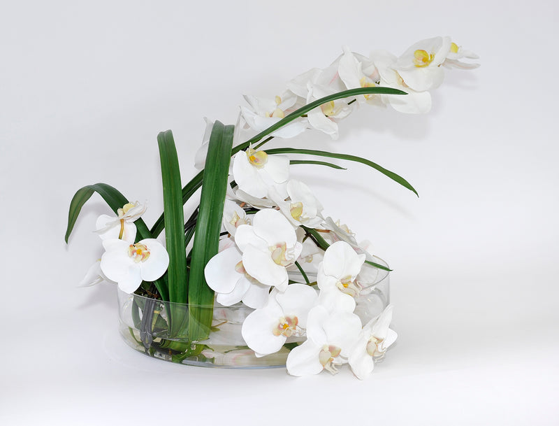 White Phalaenopsis & Succulent Small Heritage
