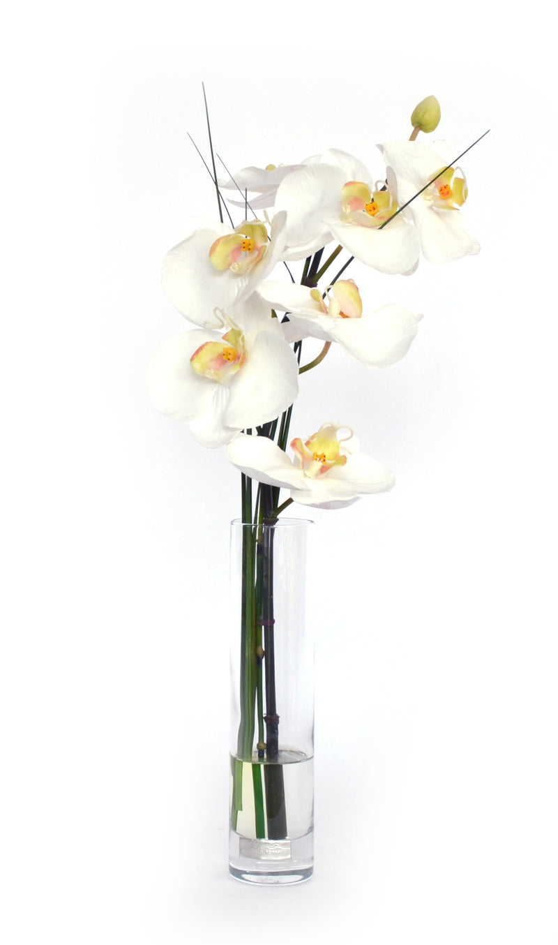 White Phalaenopsis Bud Vase