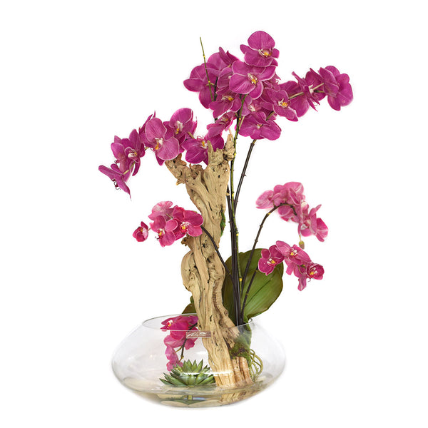 Fuchsia Phalaenopsis in Round Glass Vase
