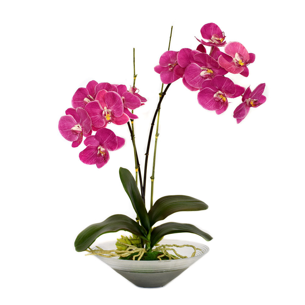 Fuchsia Phalaenopsis Garden in Round Concrete Glazed Glass Vase