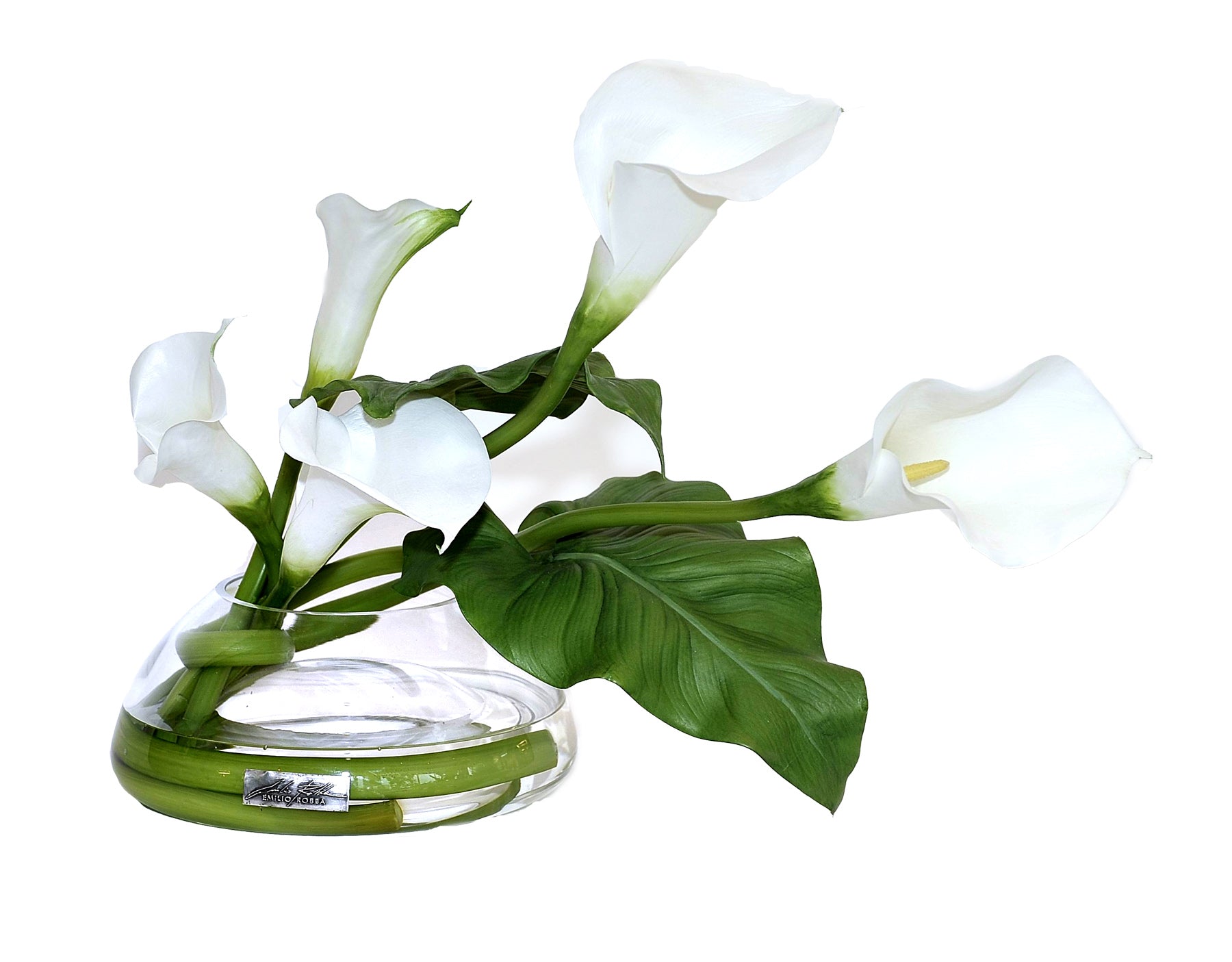 White Calla Lily MD Reverse Bowl