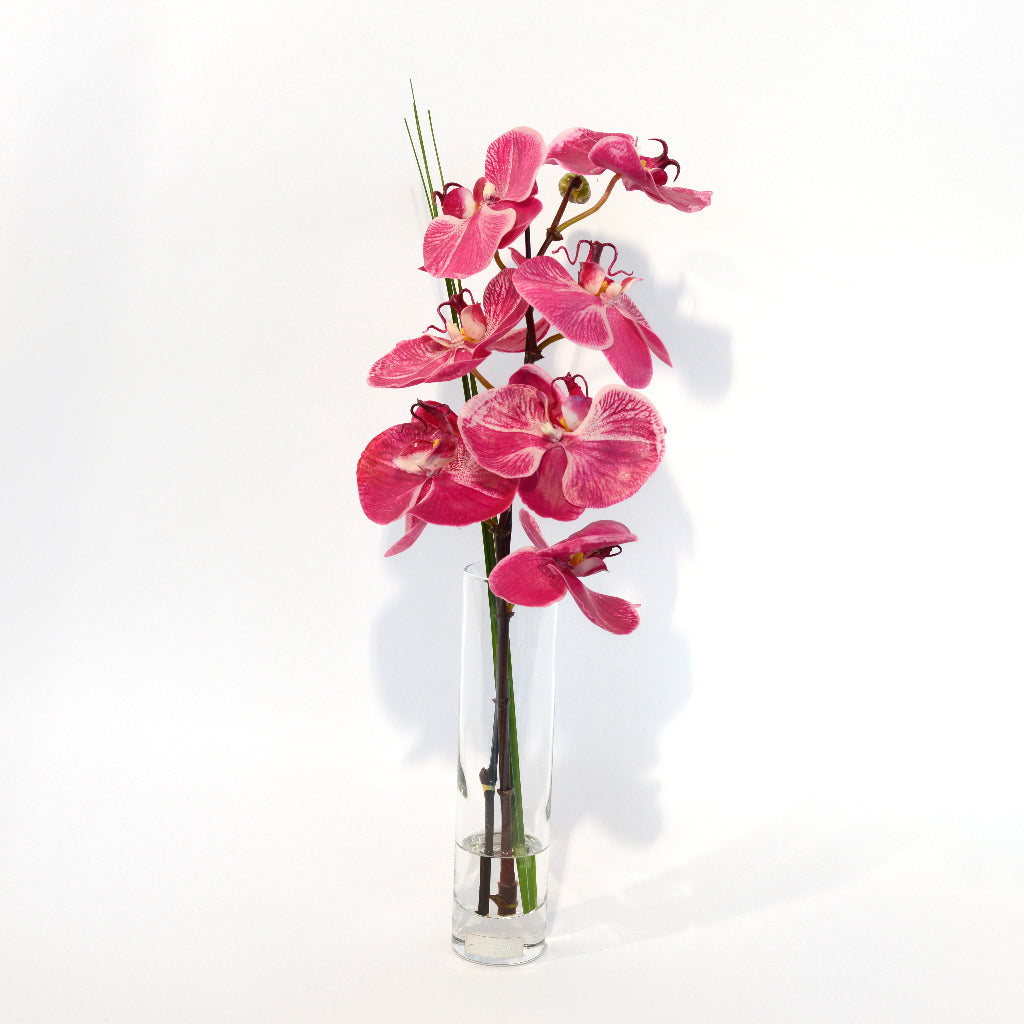 Fuchsia Phalaenopsis Bud Vase