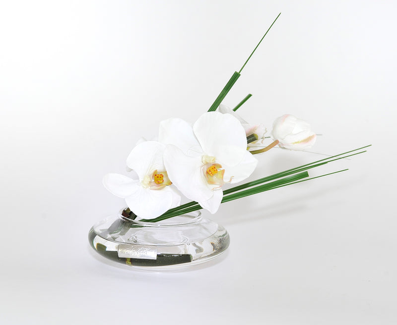 White Phalaenopsis & grass; Grass Bloom Vase