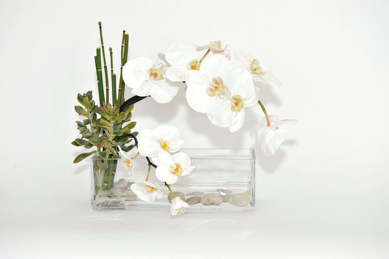 White Phalaenopsis 12" Rectangle Vase