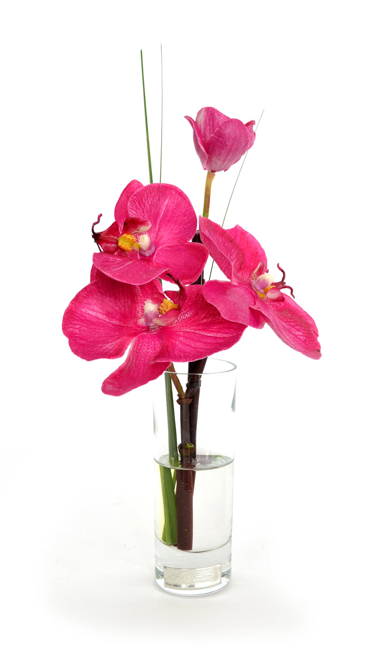 Fuchsia Phalaenopsis Cordial Vase