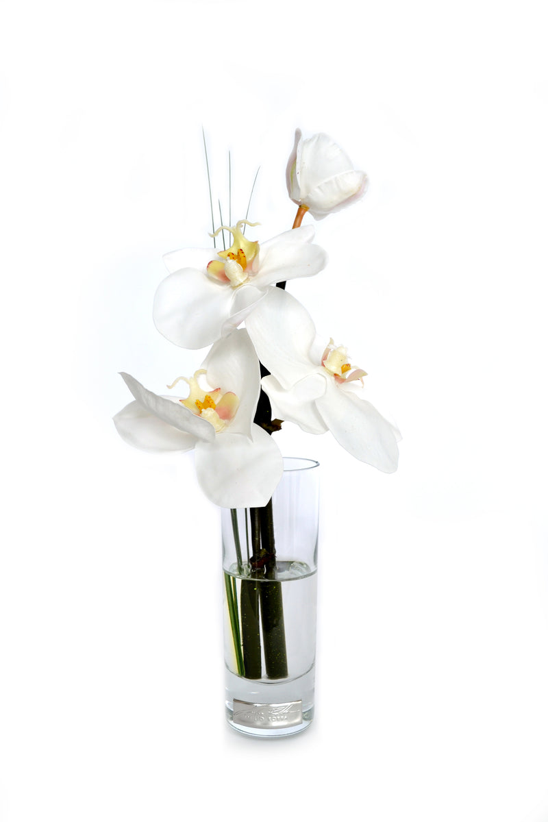 White Phalaenopsis Cordial Vase