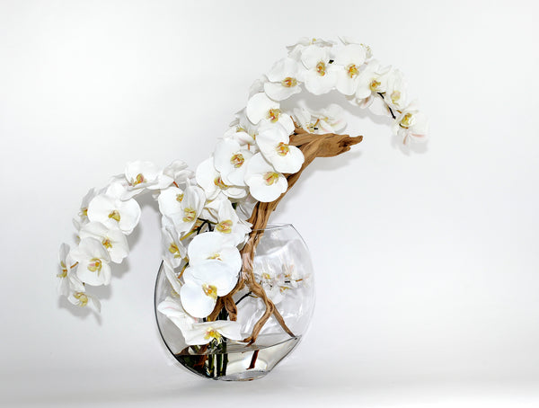White Phalaenopsis w/ Wood 13" Moon Vase