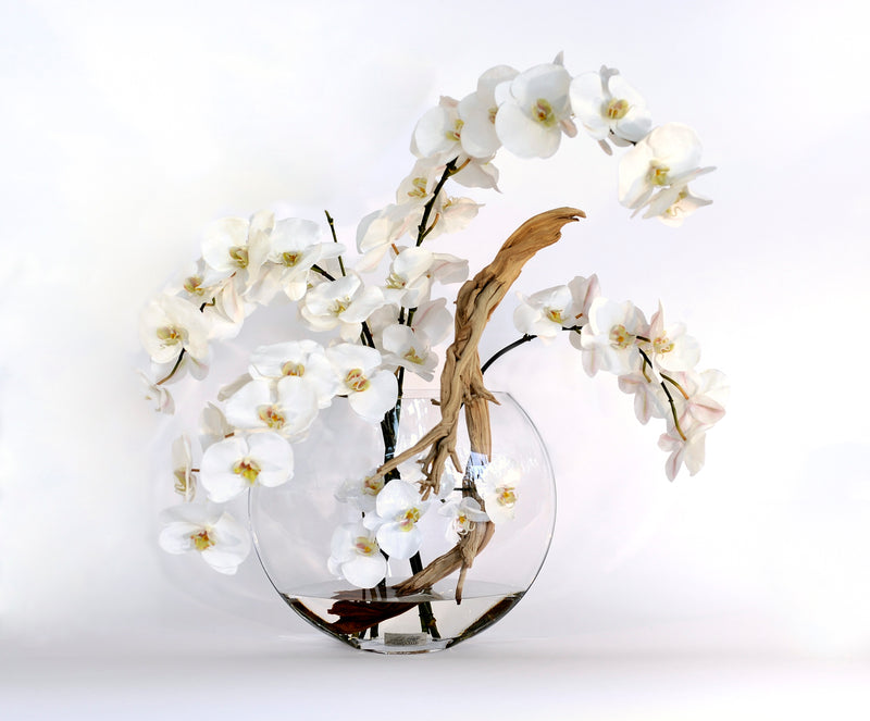 White Phalaenopsis w/ Wood 13" Moon Vase