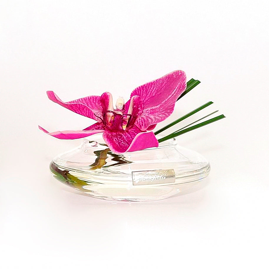 Fuchsia Phalaenopsis & Grass Bloom Vase