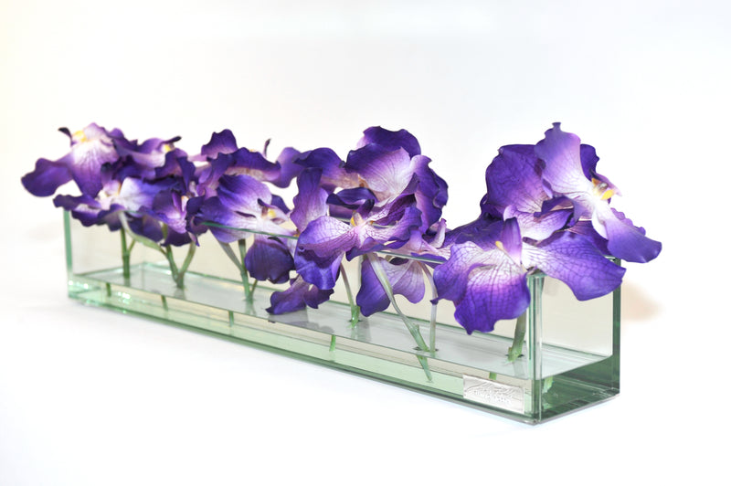Purple Vanda 24" Plate Glass Planter