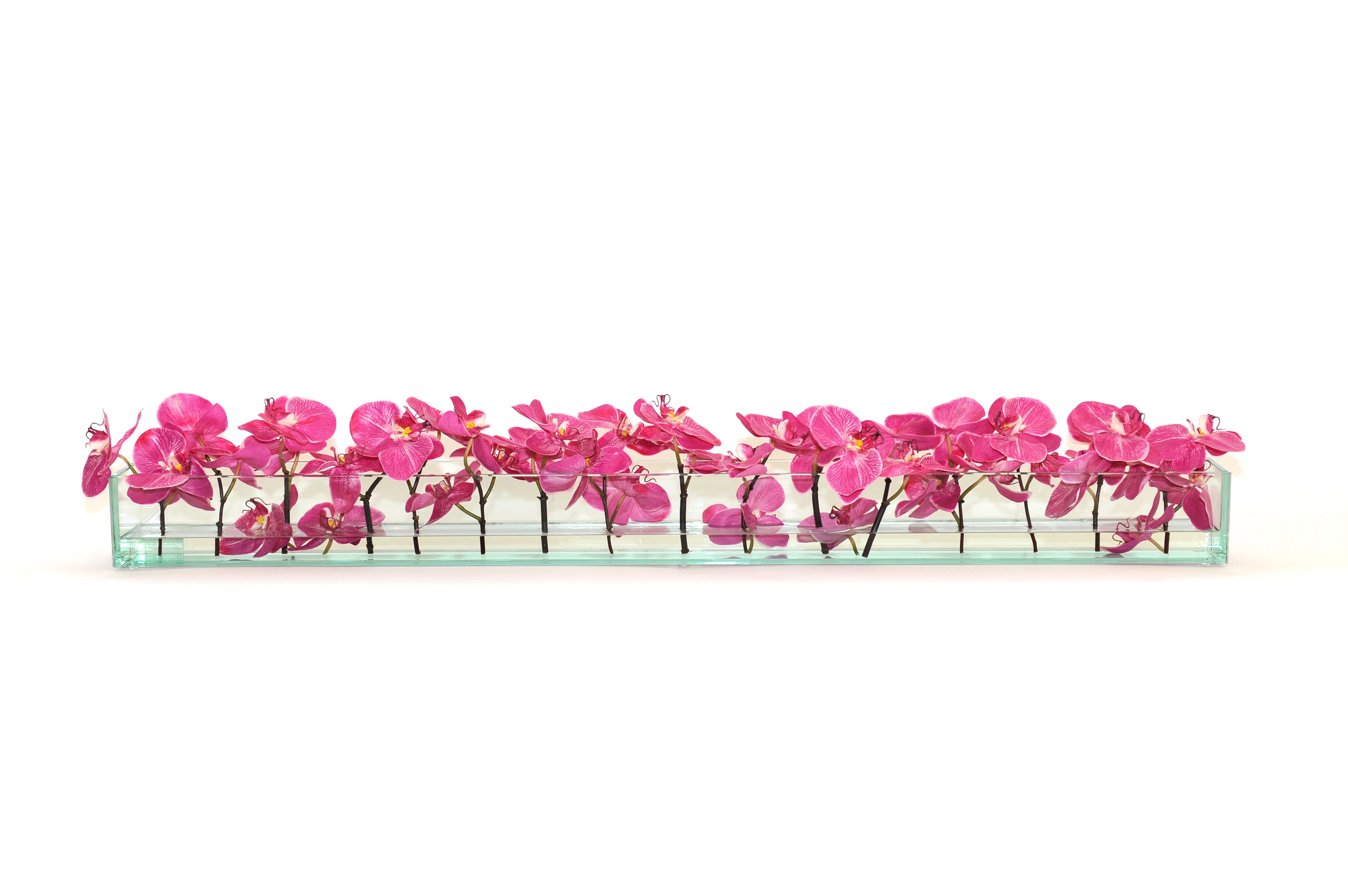 Fuchsia Phalaenopsis 48" Plate Glass Planter