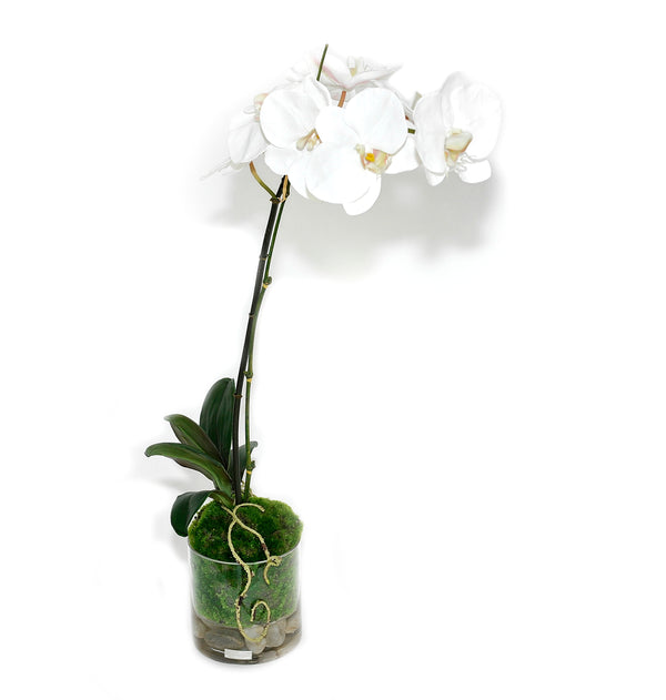 White Phala Garden 5" Rota Vase