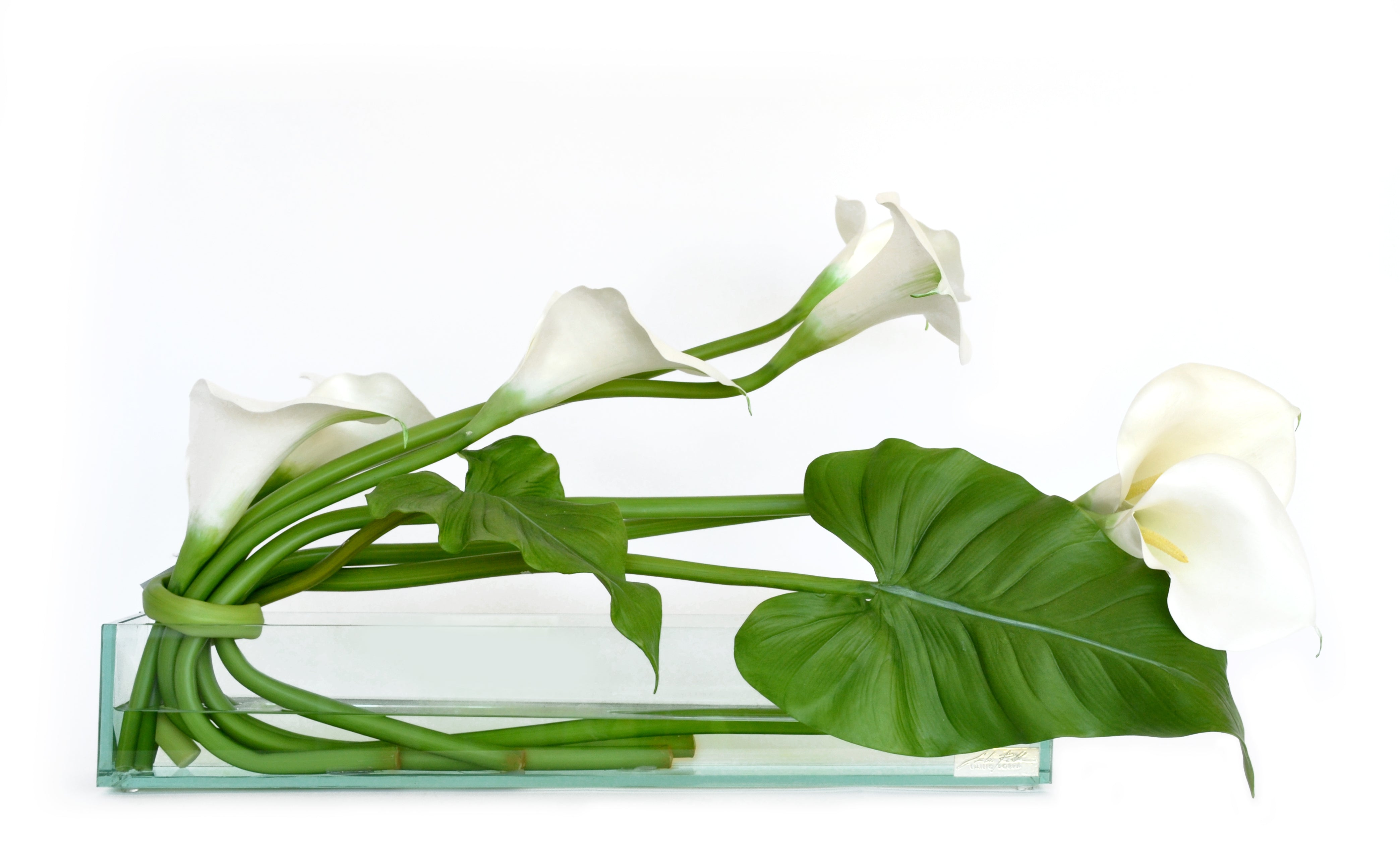 White Calla Lily 24" Glass Plate Planter