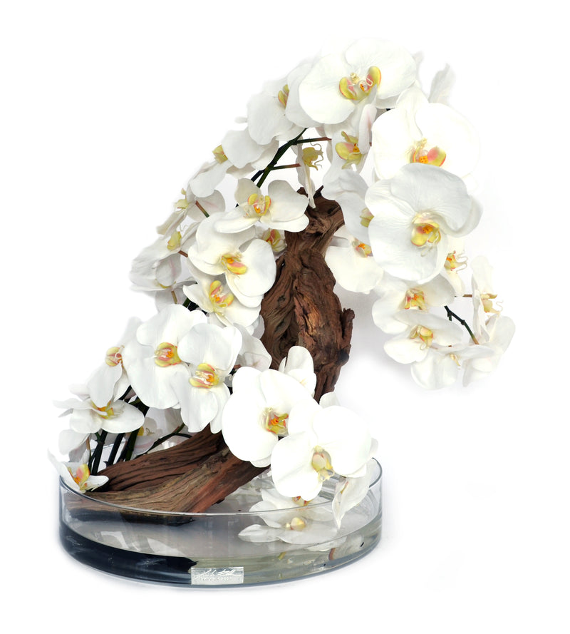 White Phalaenopsis & Drift Wood Heritage Bowl