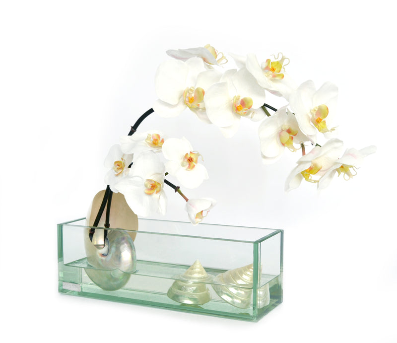 White Phalaenopsis & Seashells 12" Glass Plate Planter