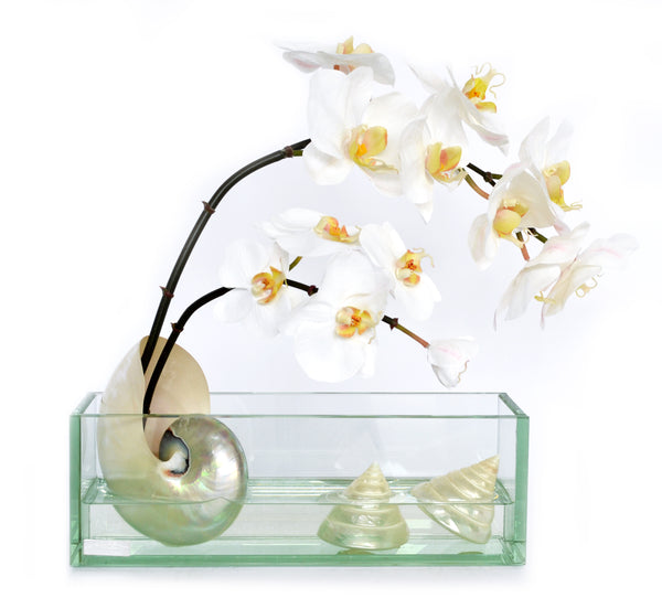 White Phalaenopsis & Seashells 12" Glass Plate Planter