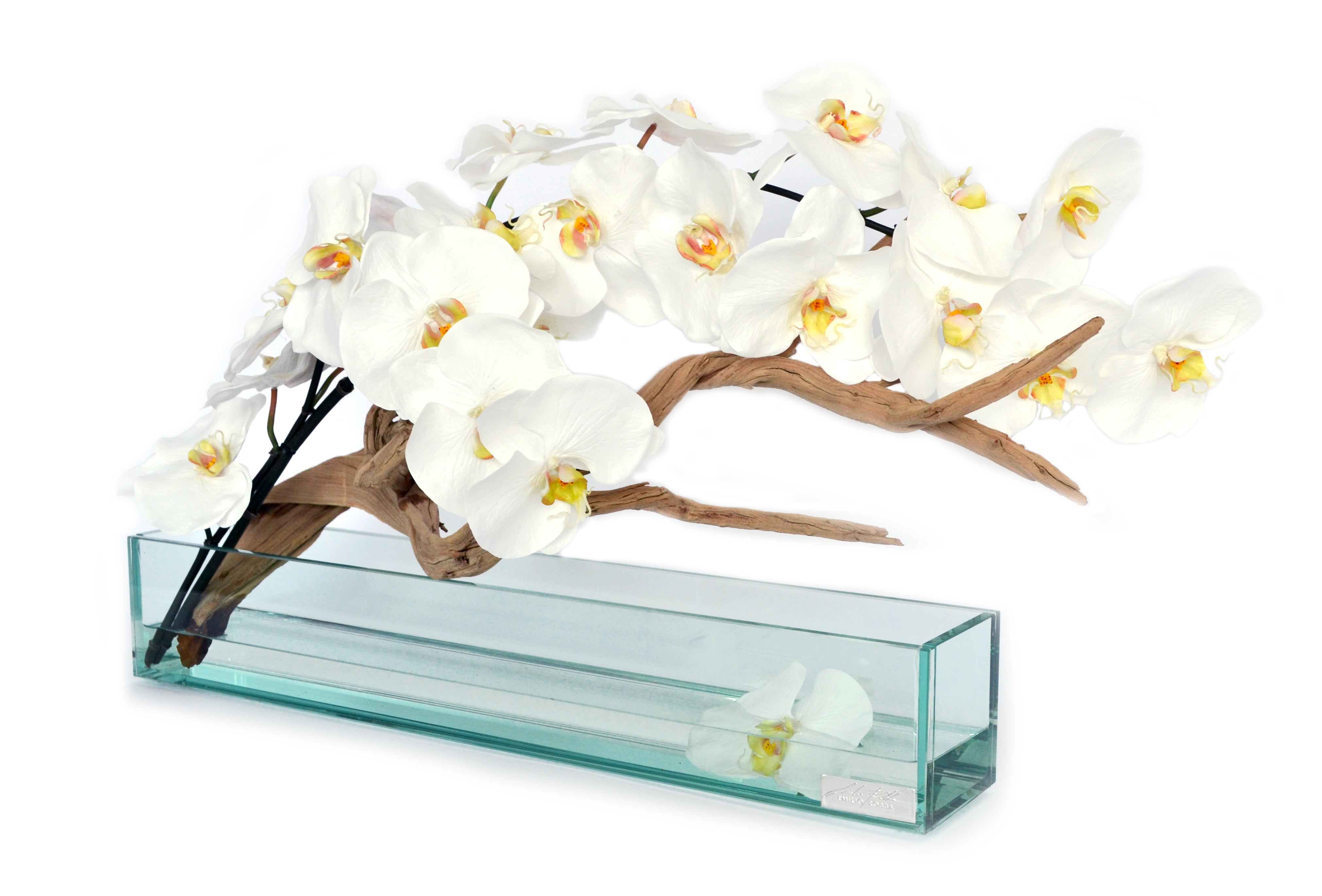 White Phalaenopsis & Wood 24" Plate Glass Planter