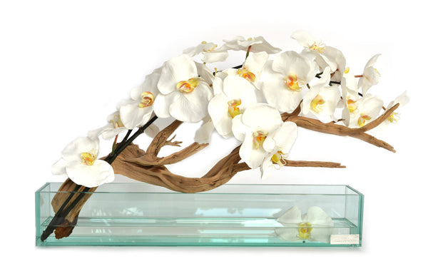 White Phalaenopsis & Wood 24" Plate Glass Planter