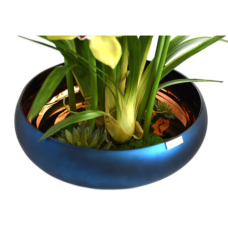 Green Cymbidium Plant w/Succulents and Illusion Water in Blue Bowl Vase