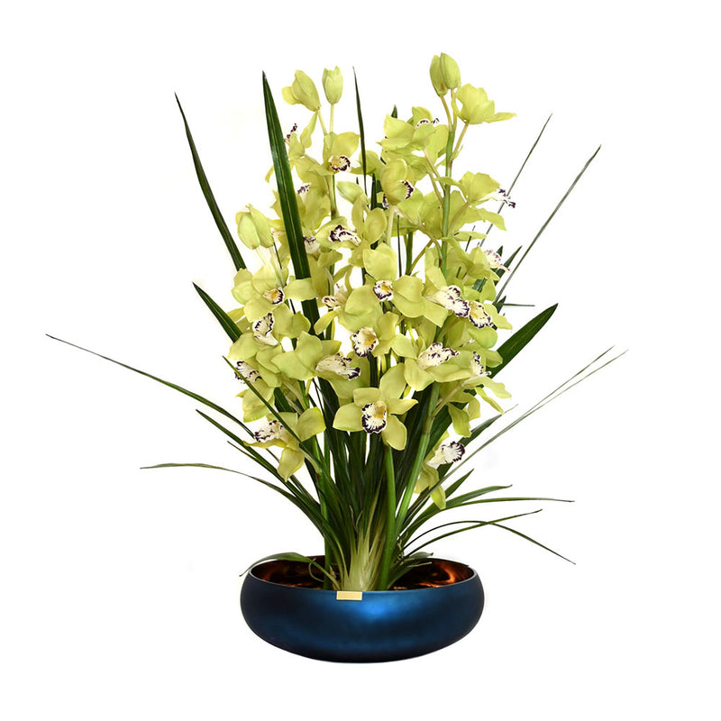 Green Cymbidium Plant w/Succulents and Illusion Water in Blue Bowl Vase