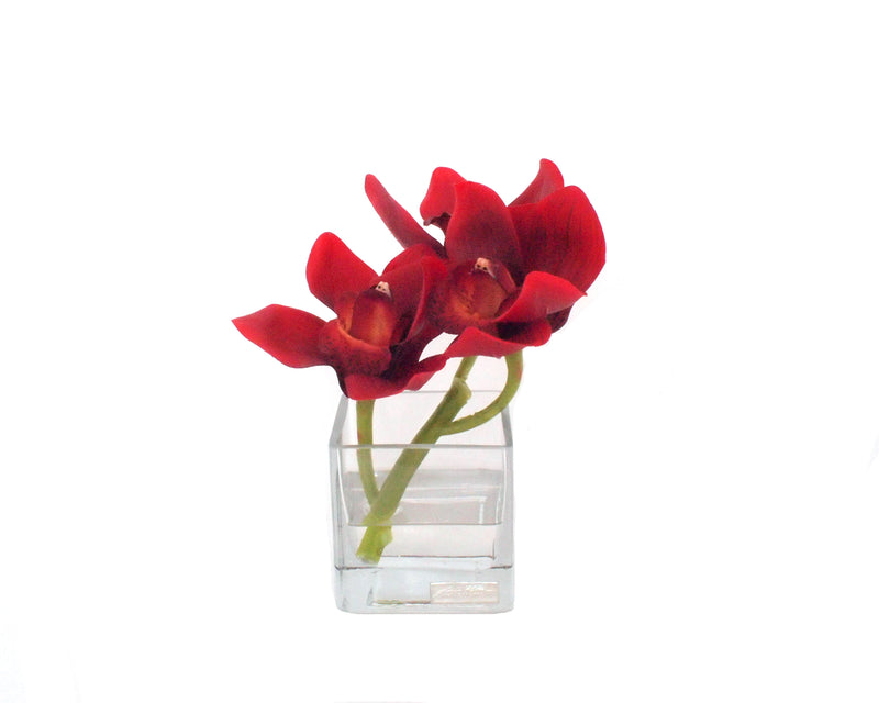 Red Cymbidium Square Vase