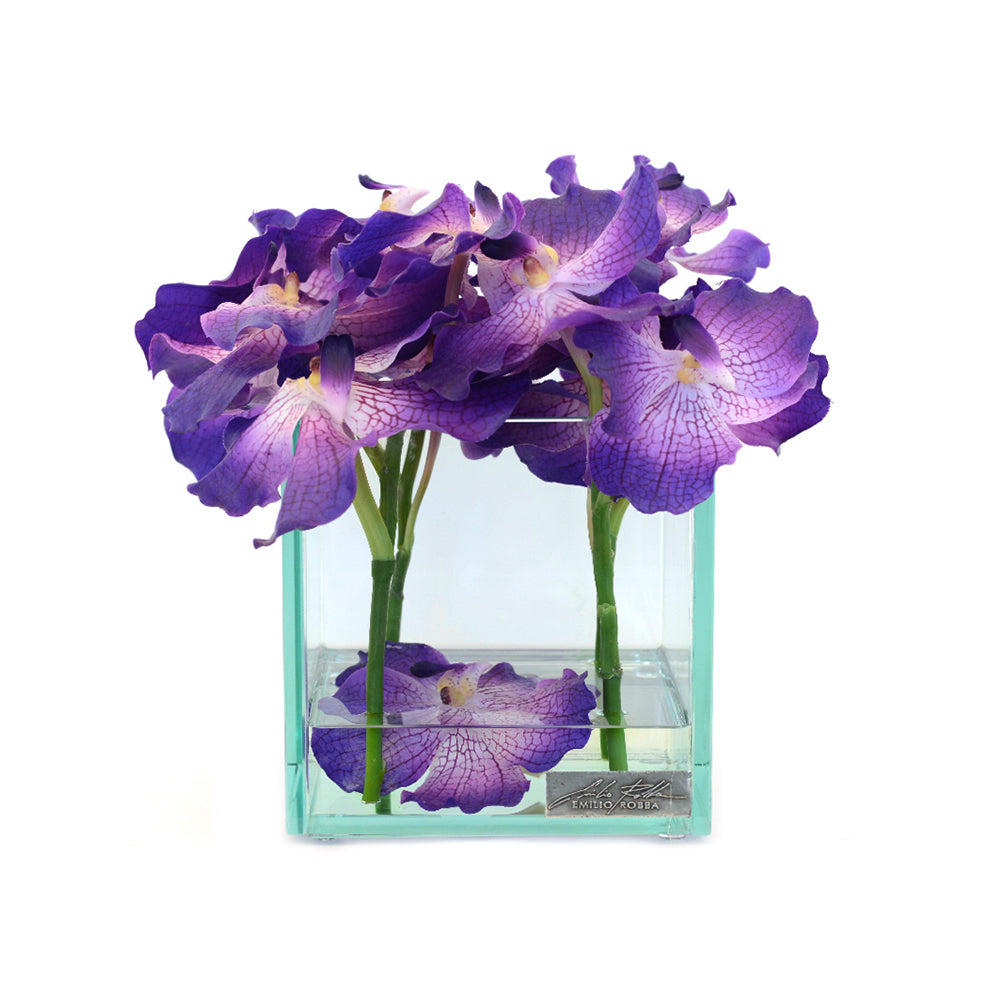 Purple Vanda 8" Square Plate Glass Planter