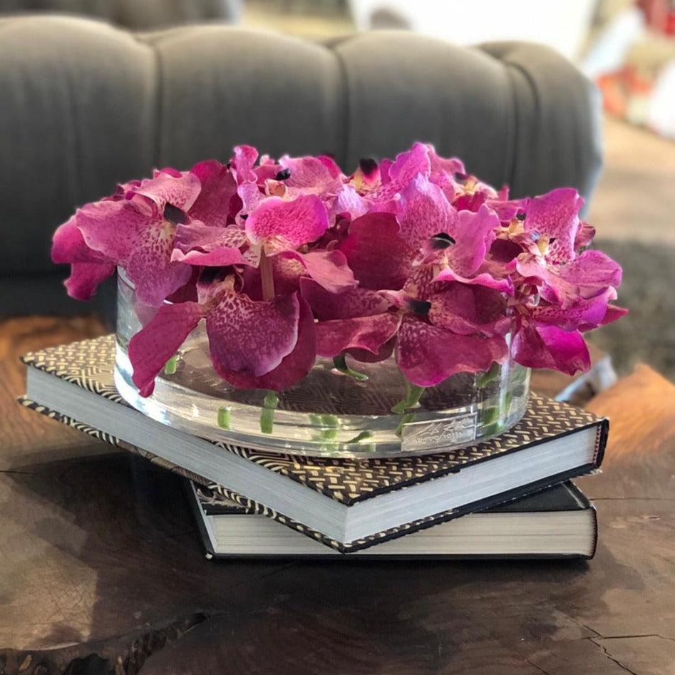 Fuchsia Vanda in Heritage Bowl • 2 sizes