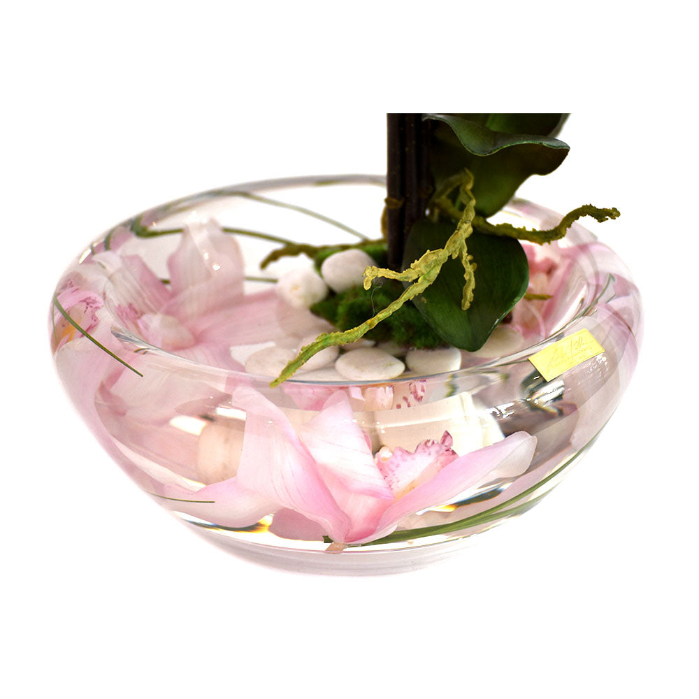 Pink Phalaenopsis Plant Bloom Bowl • 2 Sizes