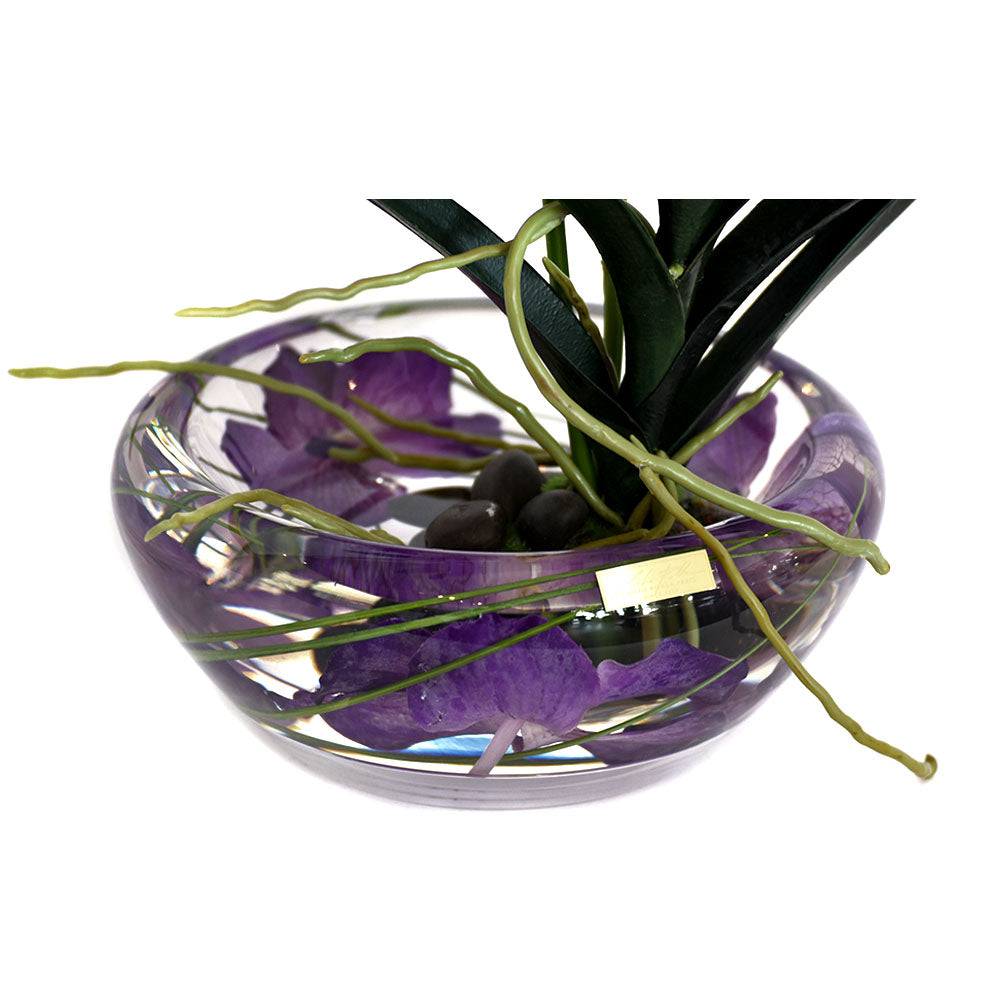 Purple Vanda Plant Bloom Bowl • 2 Sizes