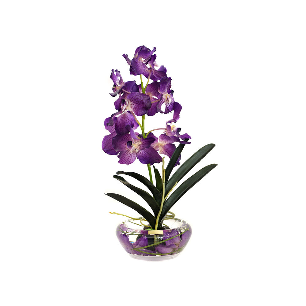 Purple Vanda Plant Bloom Bowl • 2 Sizes