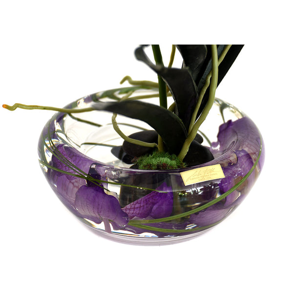 Purple Vanda Plant Bloom Bowl • 2 Sizes