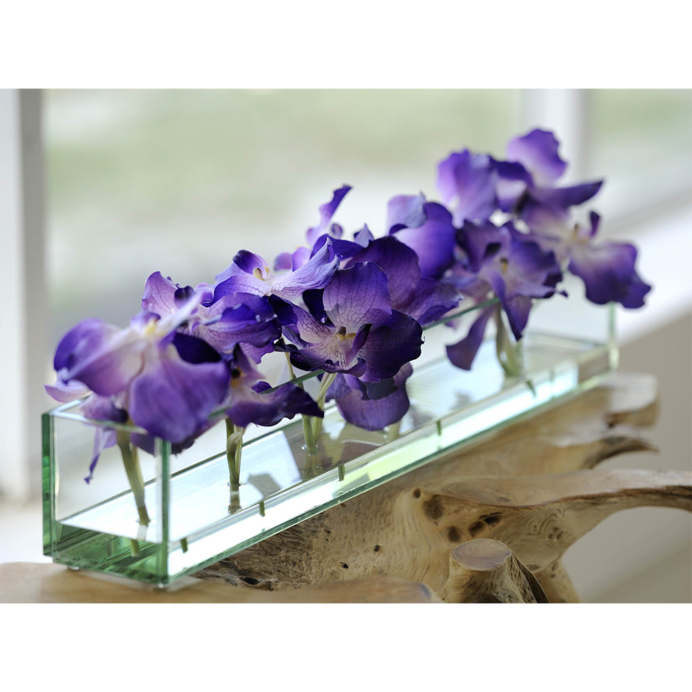 Purple Vanda in Glass Plate Vase • 3 sizes (12", 24" & 48"L)