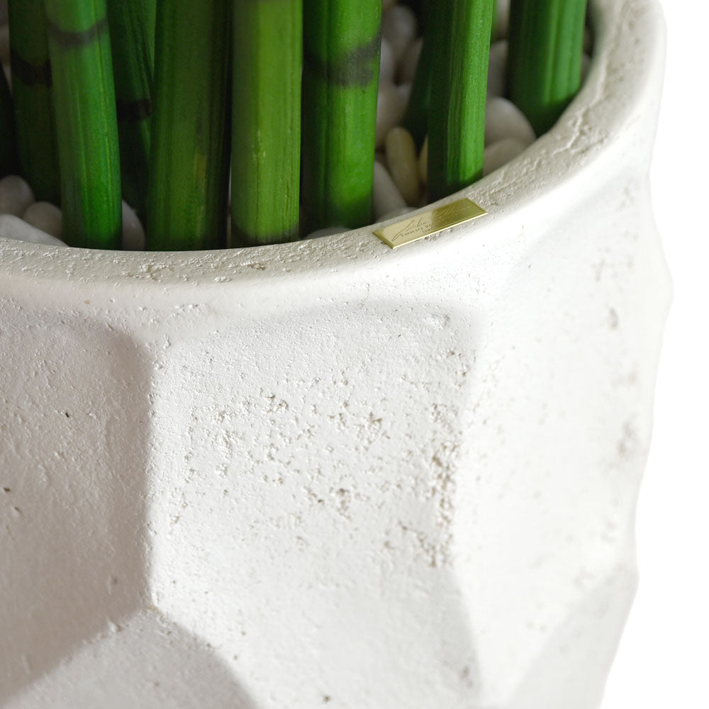 Snake Grass Plant Geometric Concrete Vase