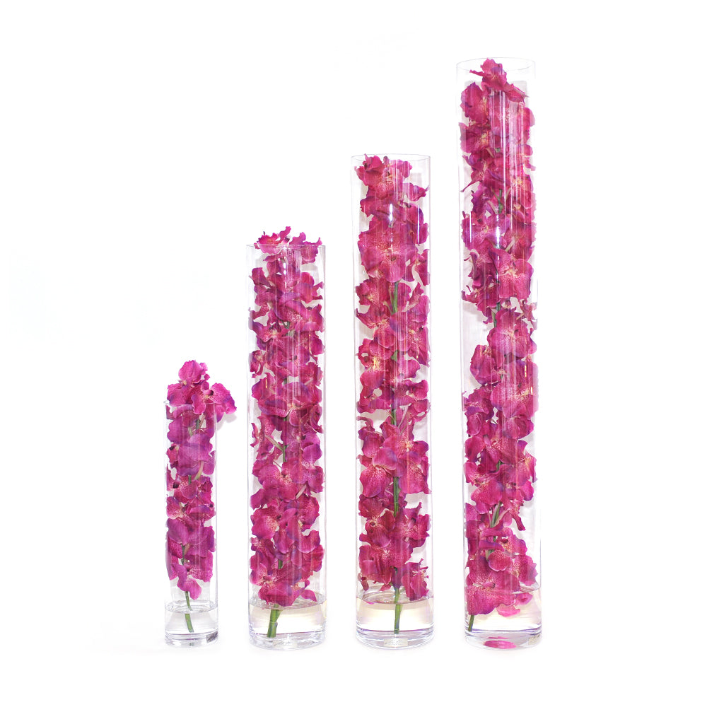 Fuchsia Vanda Orchid in Cylinder • 5 sizes (22", 31.5", 35", 43.5", 47"H)