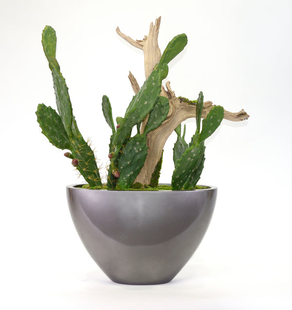 Nopal Cactus in Silver Vase Planter (Ref#7956)