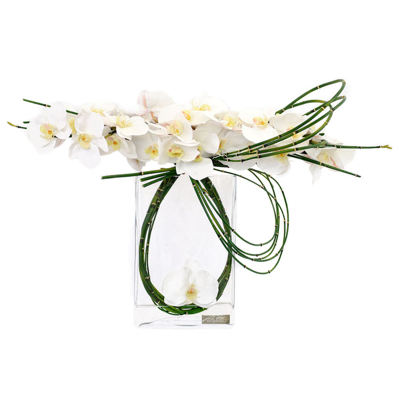 White Phalaenopsis & Bamboo in Rectangular Vase