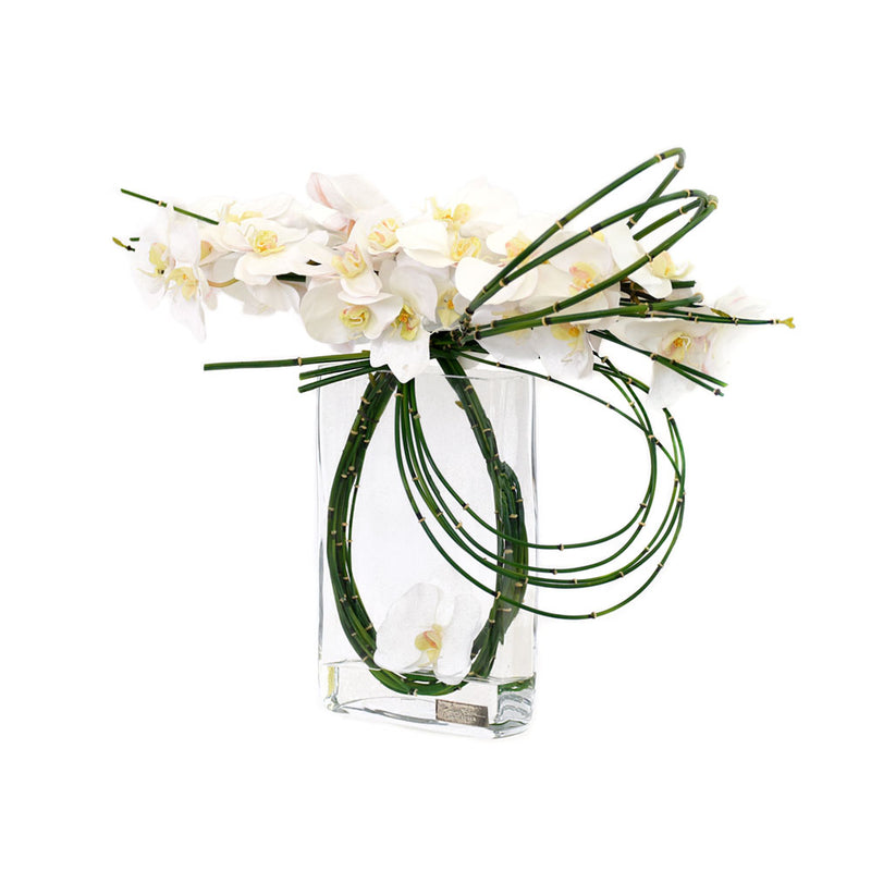 White Phalaenopsis & Bamboo in Rectangular Vase